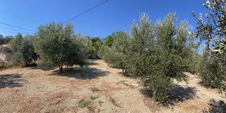 Οικόπεδο 1.000 τ.μ. για πώληση, Ν. Ρεθύμνου, Αρκάδι-thumb-5