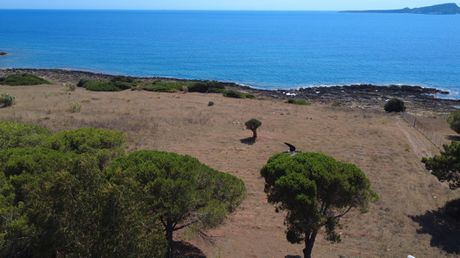 Land plot 10.112sqm for sale-Gargalianoi » Marathopoli