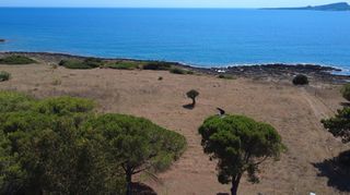 Οικόπεδο 10.112 τ.μ. για πώληση