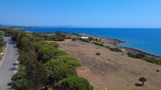 Οικόπεδο 10.112 τ.μ. για πώληση, Μεσσηνία, Γαργαλιάνοι-thumb-2