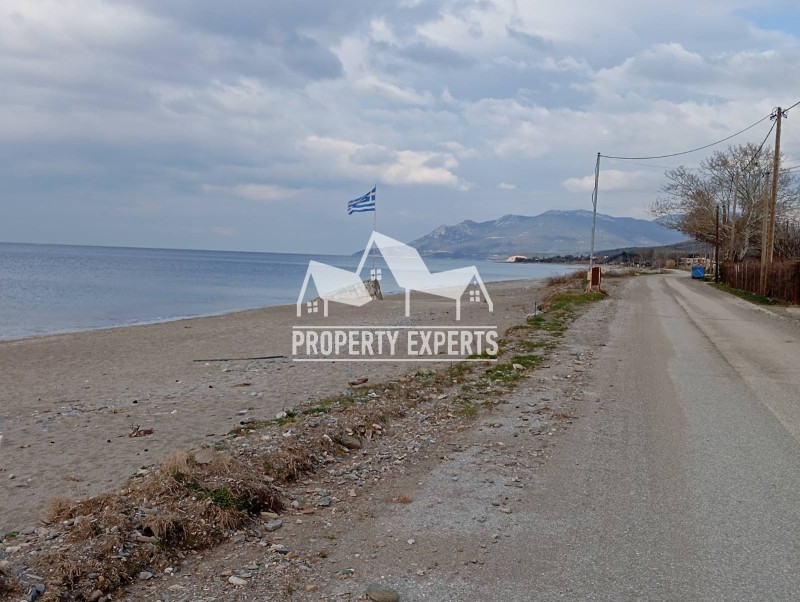 Αγροτεμάχια 4.650 τ.μ. προς πώληση, Παραλία Δικελλών