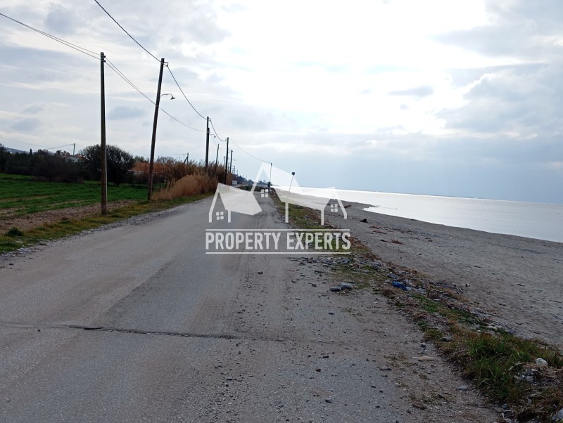 Αγροτεμάχια 4.650 τ.μ. προς πώληση, Παραλία Δικελλών