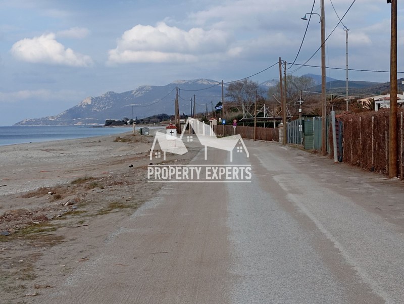 Αγροτεμάχια 4.650 τ.μ. προς πώληση, Παραλία Δικελλών