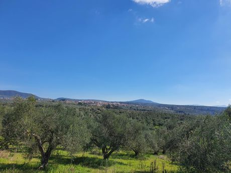 Οικόπεδο 431τ.μ. για πώληση-Πύλος » Αμπελόκηποι