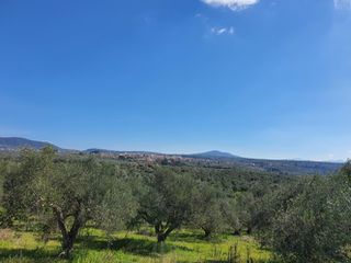 Οικόπεδο 431 τ.μ. για πώληση