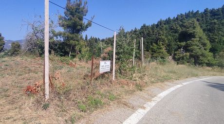 Γη 1.400τ.μ. για πώληση-Ιστιαία » Γαλατσάδες