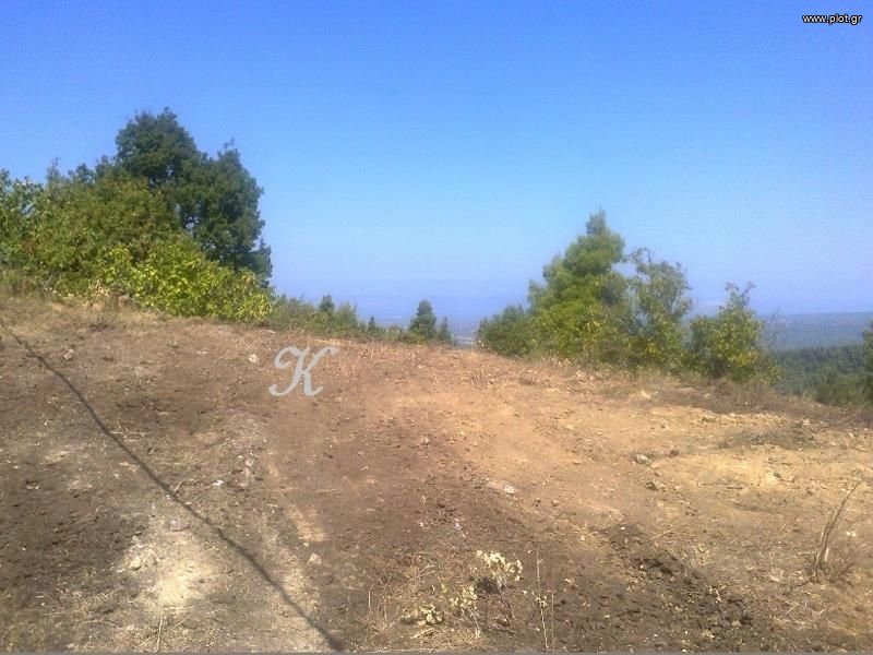 Γη 1.400 τ.μ. πρός πώληση, Εύβοια, Ιστιαία