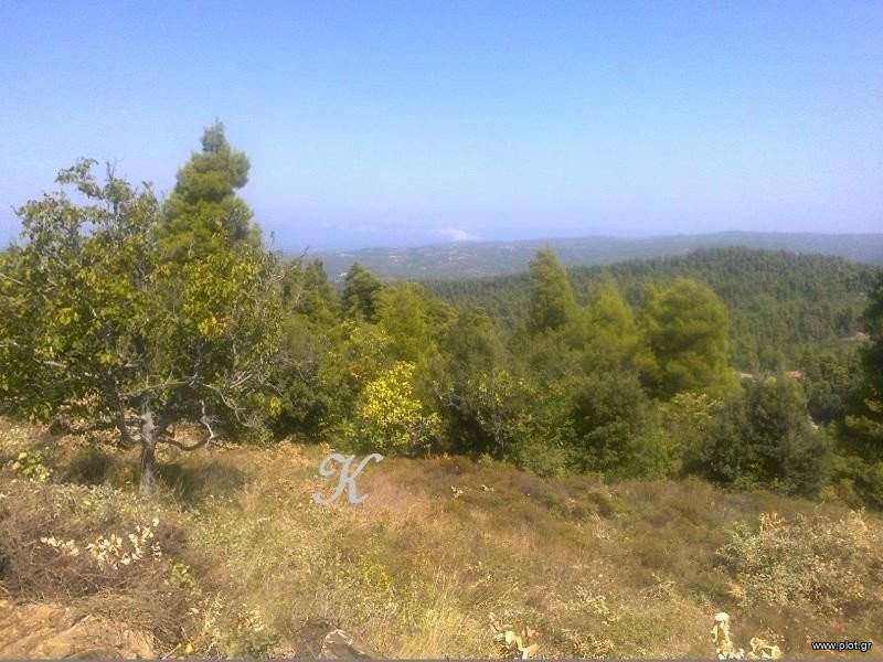 Γη 1.400 τ.μ. πρός πώληση, Εύβοια, Ιστιαία