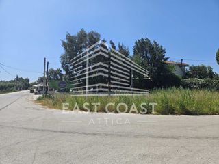 Αγροτεμάχια 650 τ.μ. για πώληση