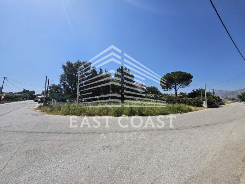 Αγροτεμάχια 650 τ.μ. πρός πώληση, Αθήνα - Ανατολικά Προάστια, Μαραθώνας