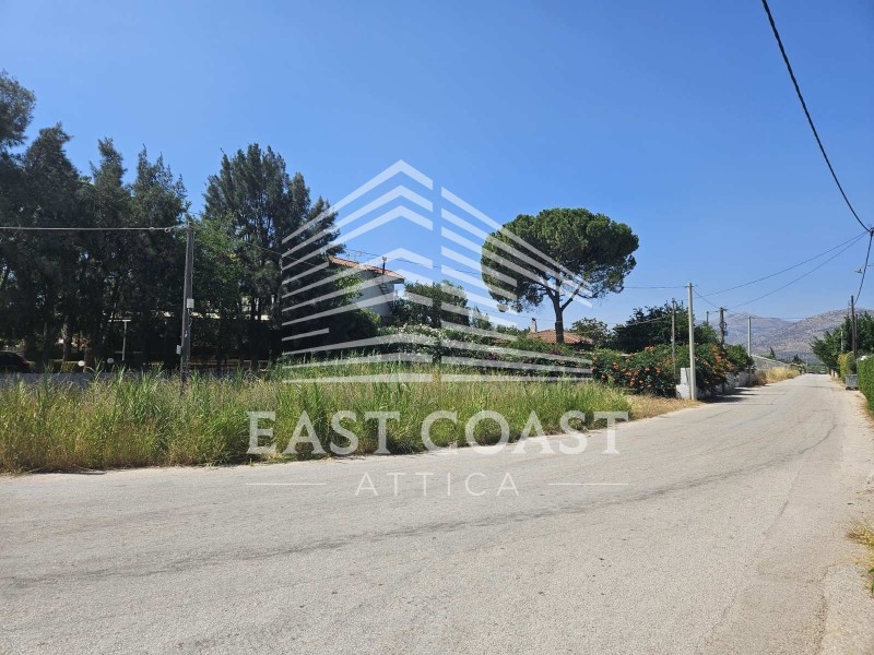 Αγροτεμάχια 650 τ.μ. πρός πώληση, Αθήνα - Ανατολικά Προάστια, Μαραθώνας