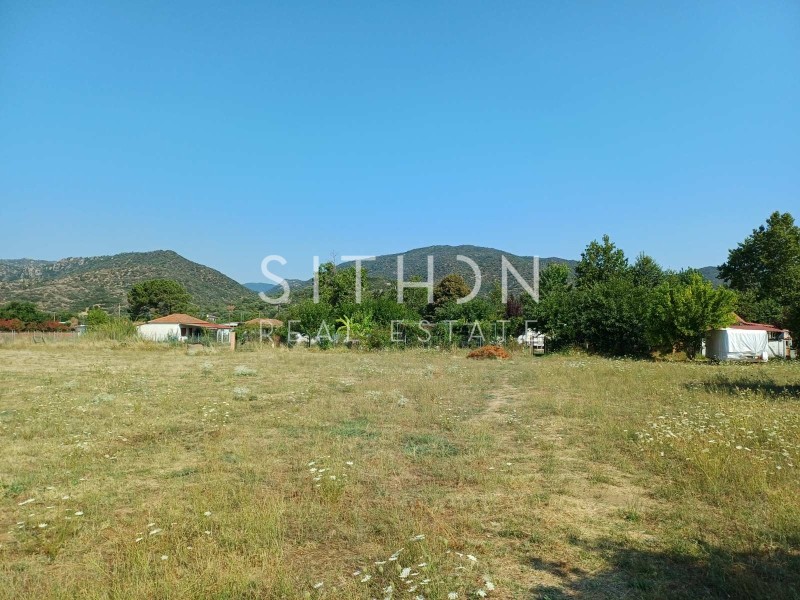 Αγροτεμάχια 1.339 τ.μ. προς πώληση, Παραλία Συκιάς