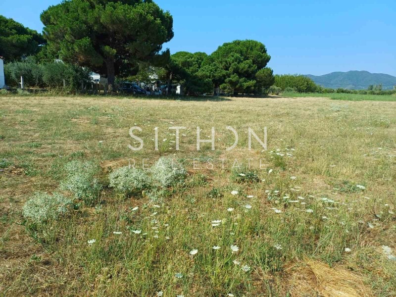 Αγροτεμάχια 1.339 τ.μ. προς πώληση, Παραλία Συκιάς