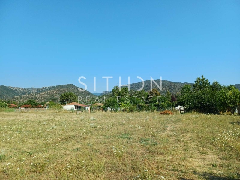Αγροτεμάχια 1.339 τ.μ. προς πώληση, Παραλία Συκιάς