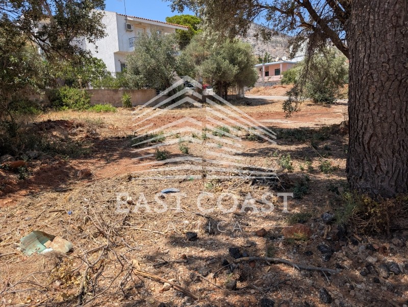 Οικόπεδο 457 τ.μ. πρός πώληση, Αθήνα - Ανατολικά Προάστια, Νέα Μάκρη