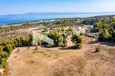 Αγροτεμάχια 2.418τ.μ. για πώληση-Κασσάνδρα » Πευκοχώρι