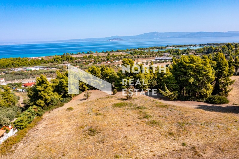 Αγροτεμάχια 2.418 τ.μ. προς πώληση, Πευκοχώρι