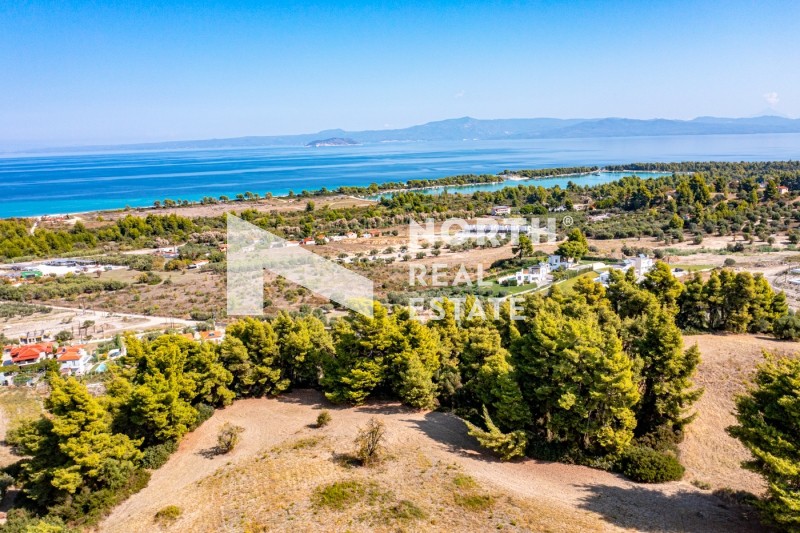Αγροτεμάχια 2.418 τ.μ. προς πώληση, Πευκοχώρι