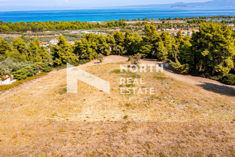 Αγροτεμάχια 2.418 τ.μ. προς πώληση, Πευκοχώρι