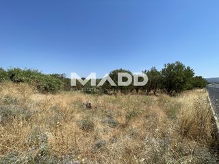 Αγροτεμάχια 7.375 τ.μ. για πώληση