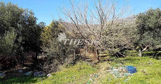 Οικόπεδο 4.000 τ.μ. για πώληση, Εύβοια, Κάρυστος-thumb-3