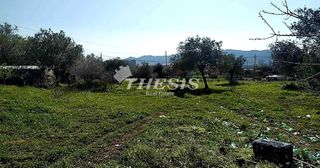 Οικόπεδο 4.000 τ.μ. για πώληση, Εύβοια, Κάρυστος-thumb-2