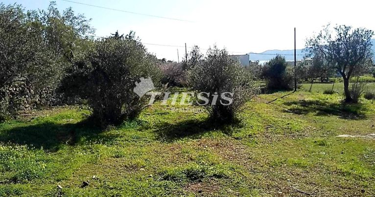 Οικόπεδο 4.000 τ.μ. για πώληση, Εύβοια, Κάρυστος