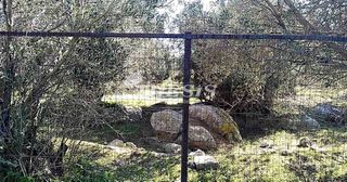 Οικόπεδο 4.000 τ.μ. για πώληση, Εύβοια, Κάρυστος-thumb-6