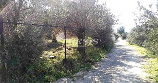 Οικόπεδο 4.000 τ.μ. για πώληση, Εύβοια, Κάρυστος-thumb-8