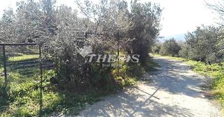 Οικόπεδο 4.000 τ.μ. για πώληση, Εύβοια, Κάρυστος-thumb-7