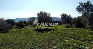 Οικόπεδο 4.000 τ.μ. για πώληση, Εύβοια, Κάρυστος-thumb-1
