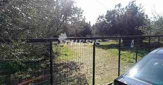 Οικόπεδο 4.000 τ.μ. για πώληση, Εύβοια, Κάρυστος-thumb-11