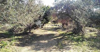 Οικόπεδο 4.000 τ.μ. για πώληση, Εύβοια, Κάρυστος-thumb-10