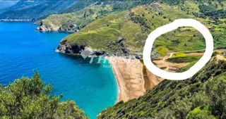 Οικόπεδο 4.000 τ.μ. για πώληση, Εύβοια, Κάρυστος-thumb-2