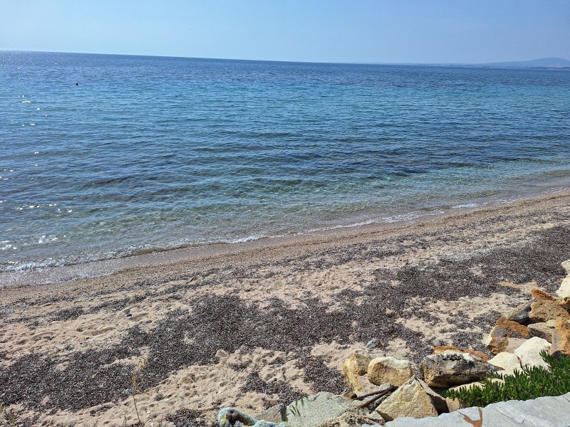 Αγροτεμάχια 25.000 τ.μ. προς πώληση, Νέα Ποτίδαια