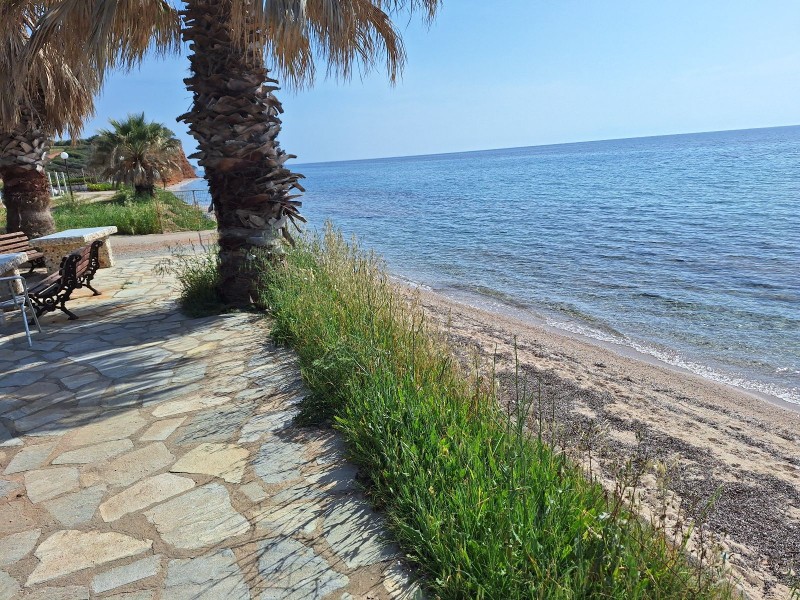 Αγροτεμάχια 25.000 τ.μ. προς πώληση, Νέα Ποτίδαια
