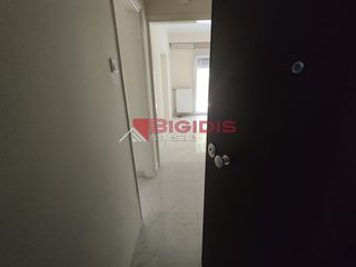 Studio 48 sqm for rent