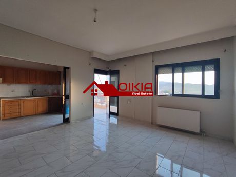 Διαμέρισμα 105τ.μ. για ενοικίαση-Βόλος » Επτά πλατάνια