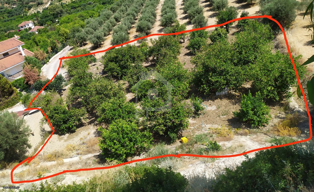 Οικόπεδο 1.250 τ.μ. προς πώληση, Ριζά Ξυλοκάστρου