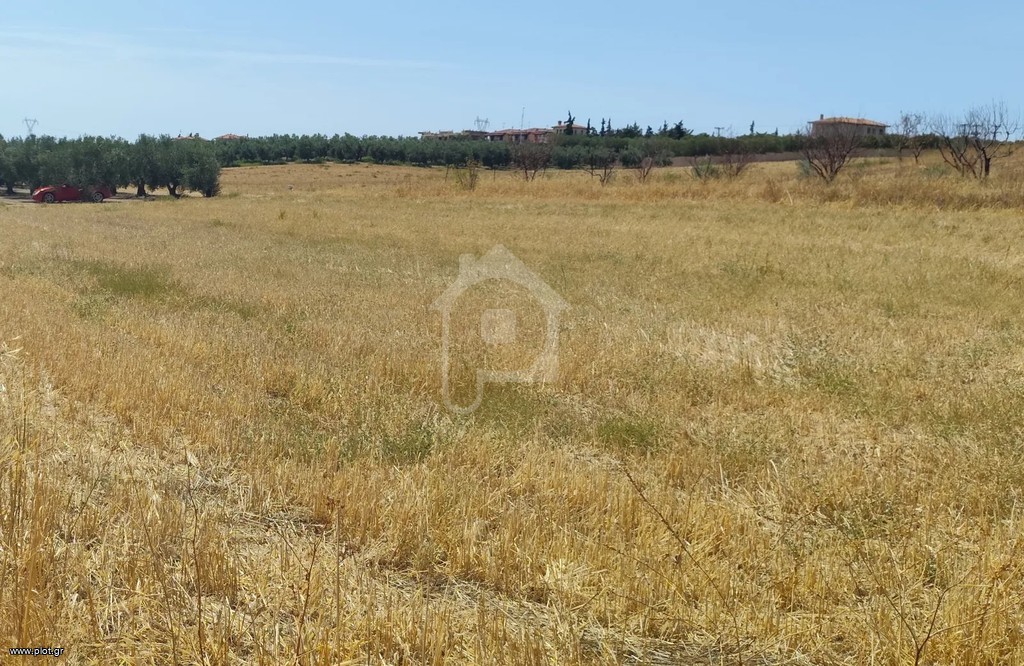 Αγροτεμάχια 450 τ.μ. πρός πώληση, Χαλκιδική, Μουδανιά