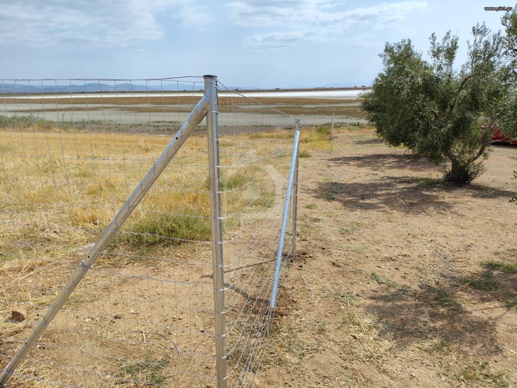 Αγροτεμάχια 450 τ.μ. πρός πώληση, Χαλκιδική, Μουδανιά