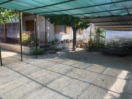 Μονοκατοικία 80τ.μ. για πώληση-Βόλος » Νέες παγάσες