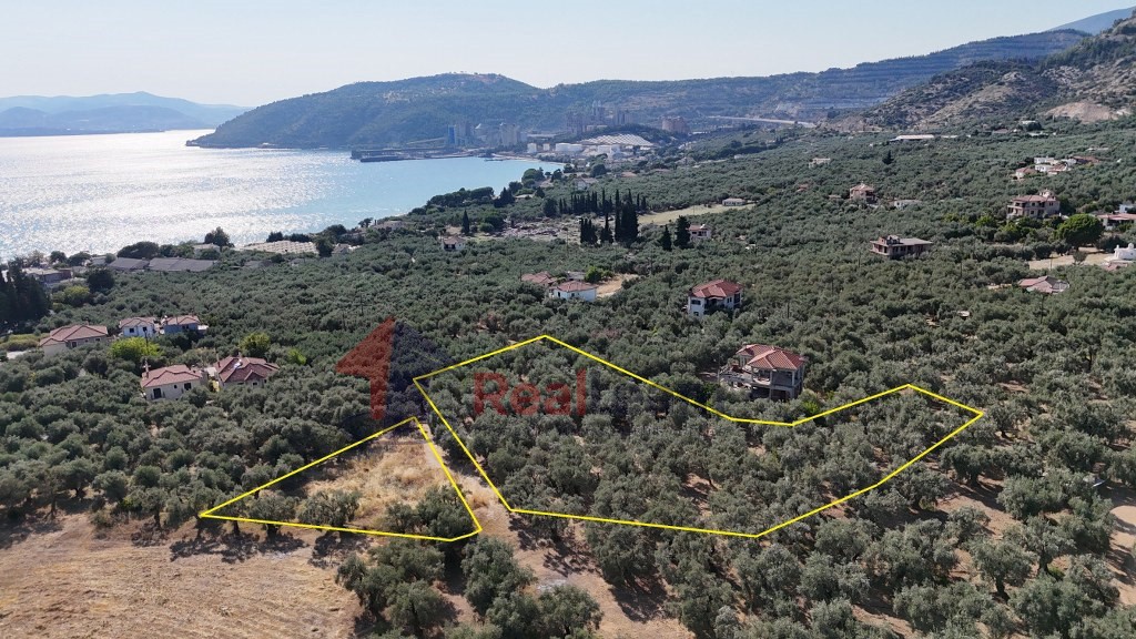 Οικόπεδο 2.187 τ.μ. πρός πώληση, Μαγνησία, Αγριά