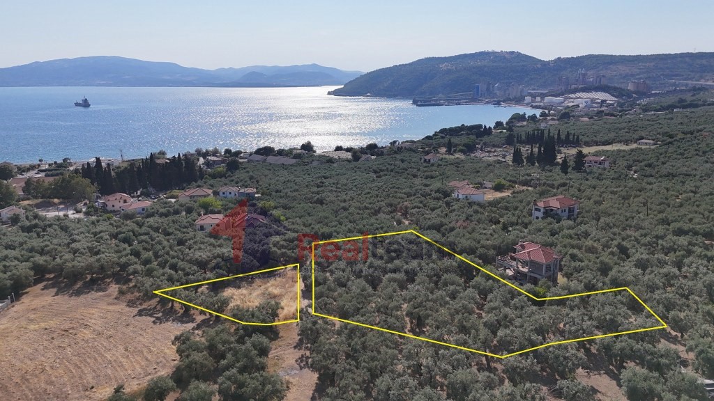Οικόπεδο 2.187 τ.μ. πρός πώληση, Μαγνησία, Αγριά