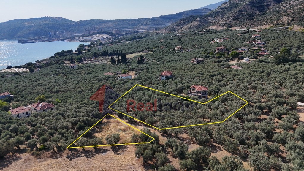 Οικόπεδο 2.187 τ.μ. πρός πώληση, Μαγνησία, Αγριά
