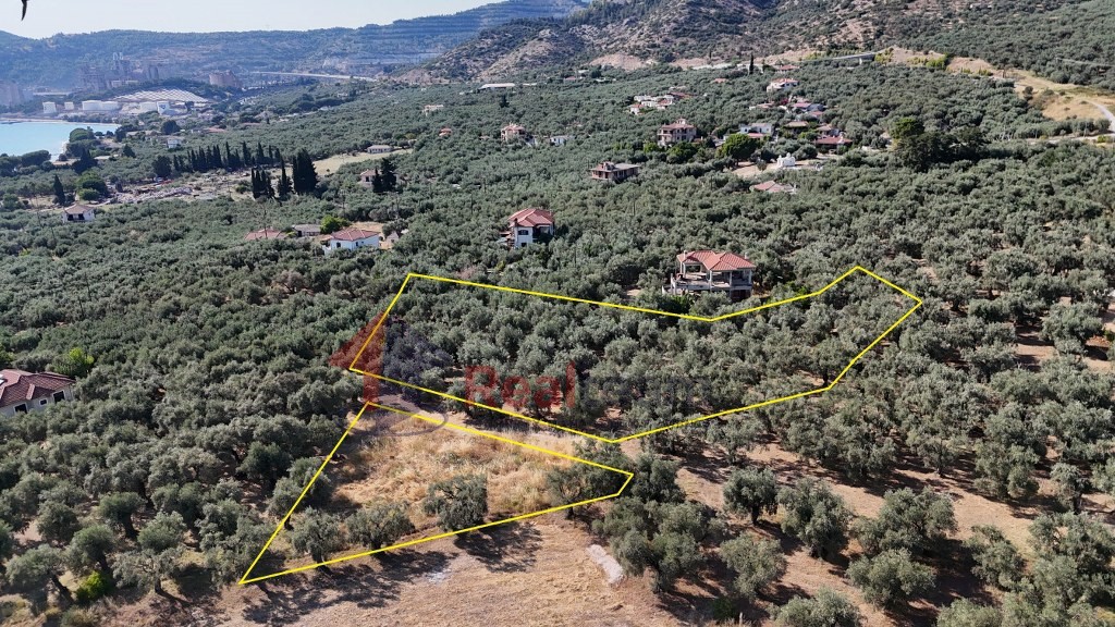 Οικόπεδο 2.187 τ.μ. πρός πώληση, Μαγνησία, Αγριά