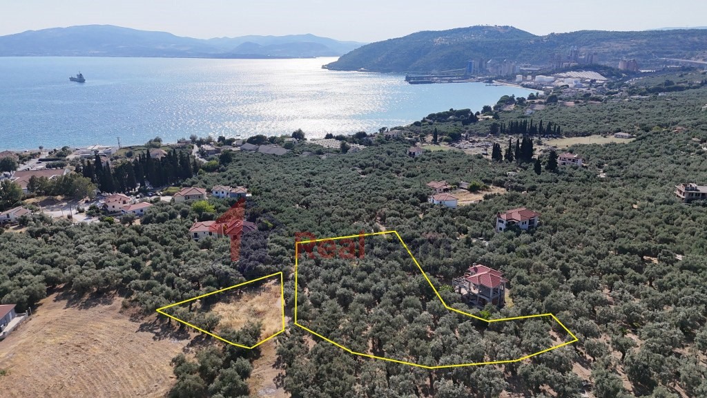 Οικόπεδο 2.187 τ.μ. πρός πώληση, Μαγνησία, Αγριά