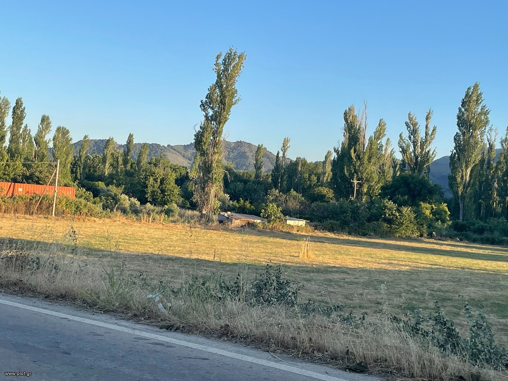 Οικόπεδο 7.000 τ.μ. πρός πώληση, Ν. Λέσβου, Λέσβος - Μυτιλήνη
