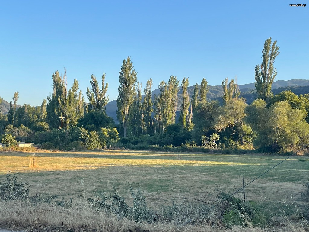 Οικόπεδο 7.000 τ.μ. πρός πώληση, Ν. Λέσβου, Λέσβος - Μυτιλήνη