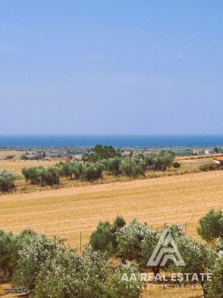 Μονοκατοικία 255 τ.μ. πρός πώληση, Χαλκιδική, Καλλικράτεια